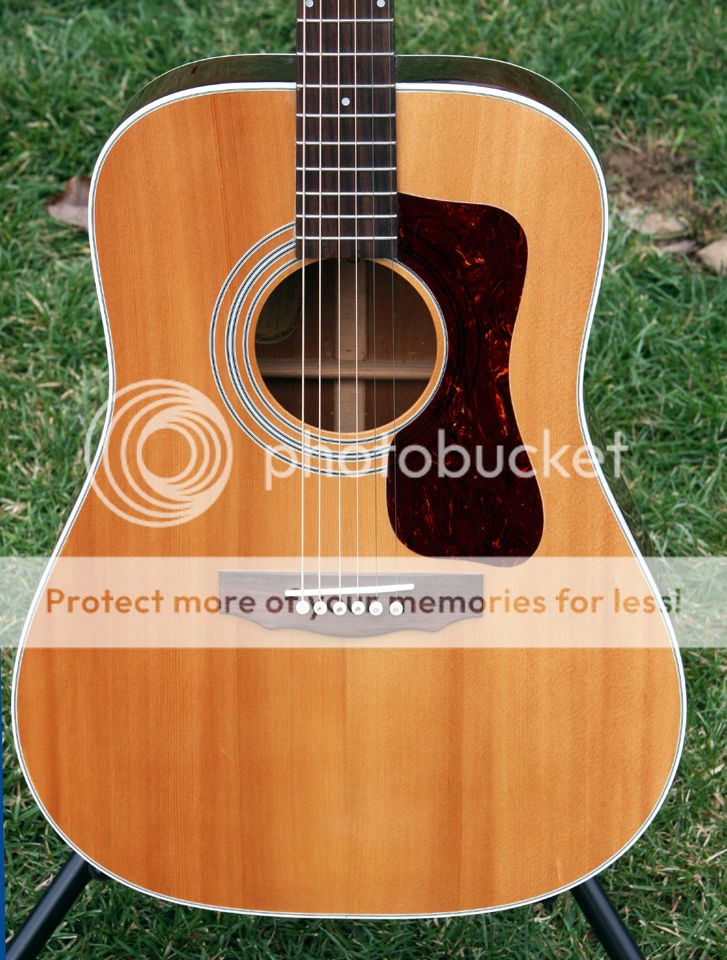 1973 Guild D40 Stunning Condition Ready to go for another 40 years